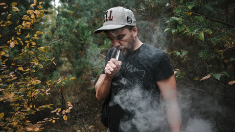 Understanding the Economics of the Vaping Industry