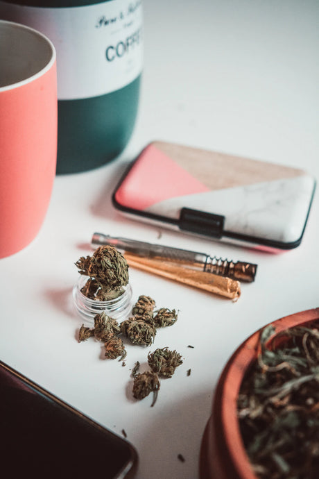 Vaping in Social Settings Changing Perceptions and Trends
